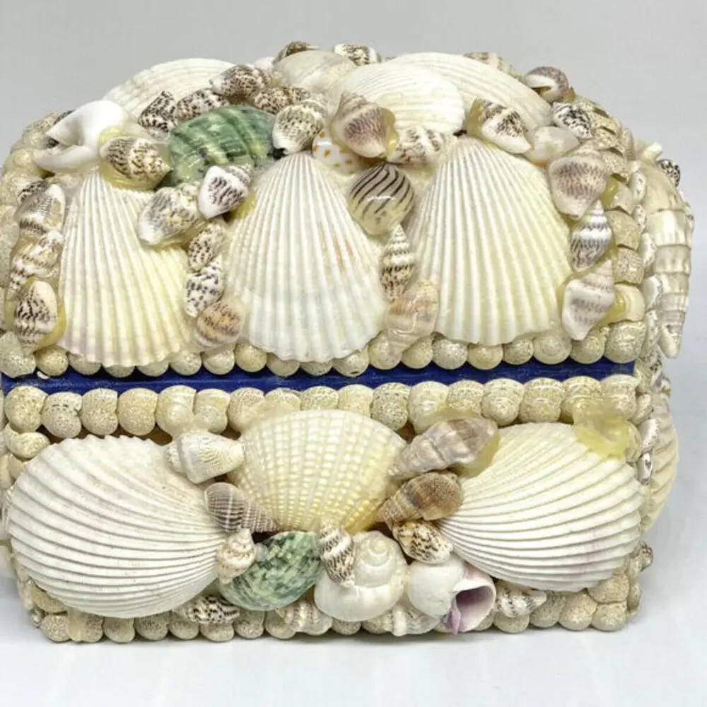 Sea Shell Trinket Box with Diorama Inside Lid Fish Starfish Abalone Sand Vintage